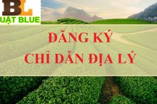 Thủ tục đăng ký chỉ dẫn địa lý tại Thanh Hóa