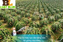 Thủ tục hủy bỏ hiệu lực bằng bảo hộ giống cây trồng