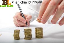 Điều khoản phân chia lợi nhuận trong hợp đồng hợp tác